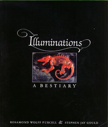 Buy Illuminations: A Bestiary online at Discounted New and Used prices. Delivered to your door with Off-The-Bookshelf.