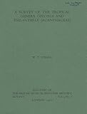 A survey of the tropical genera Oplonia and Psilanthele (Acanthaceae)