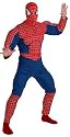Spiderman Licensed Costume with Deluxe Muscle Chest