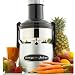Omega BMJ330 Commercial 350-Watt Stainless-Steel Pulp-Ejection Juicer