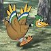 Pattern for Harried Hunter Duck