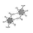 Cytosine Guanine Bond Rna Pass Information in a Cell Photographic Poster Print, 40x30