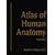 Atlas of Human Anatomy (Netter Basic Science)