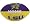Louisiana State Fightin Tigers