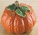 Medium Pumpkin Soup Tureen Case Pack 4