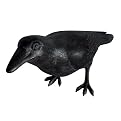 Crow Head Up Outdoor Decor