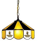 14 Swag Hanging Lamp Light Georgia Tech Yellow Jackets - Free Shipping
