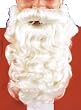 Santa Beard Adult
