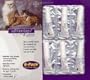 4 Month Advantage Flea Control for Cats Over 9lbs.