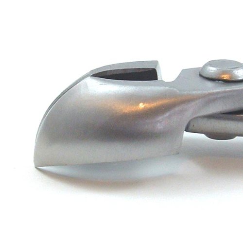 Round Edged Branch Cutters - 17cm Stainless Steel 