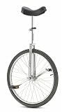 Torker CX 24 Inch Unicycle