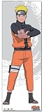 Naruto Shippuden: Naruto Anime Wall Scroll [Tall]