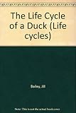 The life cycle of a duck
