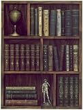 Classic Literature I Art Poster Print by Steve Butler, 19x25