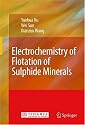 Electrochemistry of Flotation of Sulphide Minerals