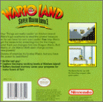 large image
