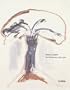 Nancy Spero: The War Series 1966-1970