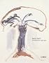Nancy Spero: The War Series 1966-1970