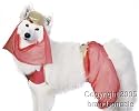 Pet Genie Dog Halloween Costume For Medium Dogs