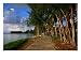 Jogger on Beach Road Park Path, Garapan, Northern Mariana Islands Photographic Poster...