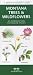 Montana Trees & Wildflowers: An Introduction to Familiar Species (Pocket Naturalist - Waterford Press)