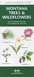 Montana Trees & Wildflowers: An Introduction to Familiar Species (Pocket Naturalist - Waterford Press)