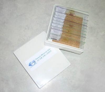What Else Is in the Dr.s Office? Prepared Microscope Slides