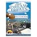 Wysong Daily Dream Chicken Treats For Dog and Cats