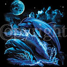 Midnight Dolphins 12 Womens Scoop Neck T-Shirt