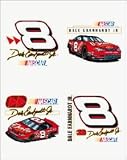 Dale Earnhardt Jr. Temporary Tattoos