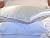 Silk filled Pillow Silk Charmeuse Cover