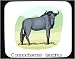 Mouse Pad with africa, connochaetes, gnu, animal, horns, ox