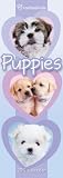Official Rachael Hale Dogs 2011 Slim Calendar