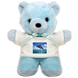 Teddy Bear Blue Dolphins Singing