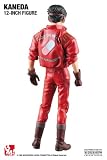 Medicom Akira Shotaro Kaneda Real Action Heroes (RAH) 12 inch action figure