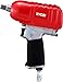 RYOBI GACpNg` AIW-23