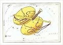 Zodiac Symbols: Libra Art Poster Print by Sidney Hall, 10x8
