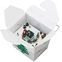 Gold Label Chinese Take-Out Music Box, Santa