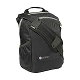 Pacsafe VentureSafe 300 Vertical Travel Bag