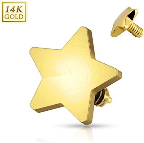 14 Karat Solid Yellow Gold 4Mm Star Dermal Top Internally Threaded