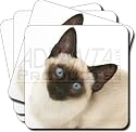 SIAMESE CAT with BLUE EYES Set of 4 Leather Coasters