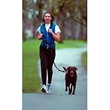 The Buddy System Hands Free Dog Leash, Regular Dog System, Black Regular