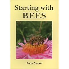 Starting with Bees
