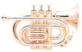 Academy - Silver Plated Bb Pocket Trumpet