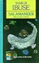 Salamander and Other Stories (Japan's Modern Writers)
