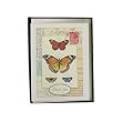 Botanical Butterflies Thank You Cavallini Boxed Cards and Envelopes in keepsake tin set of 10 with vintage look