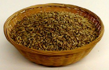 Organic Sprouting Seeds Rye by The Sprout House