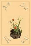 Canvas Print, Daylily, Miscanthus, Japanese Glove Flower, and Patria Scabiasaegolia - 12 x 18