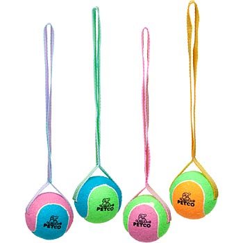 PETCO Tennis Ball with Nylon Strap Dog Toy