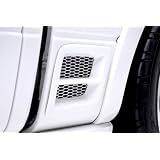 3dCarbon 2004-2008 F-150 - Rear Fender Vent w Grille (Pair) -- painted: Sterling... by Unknown